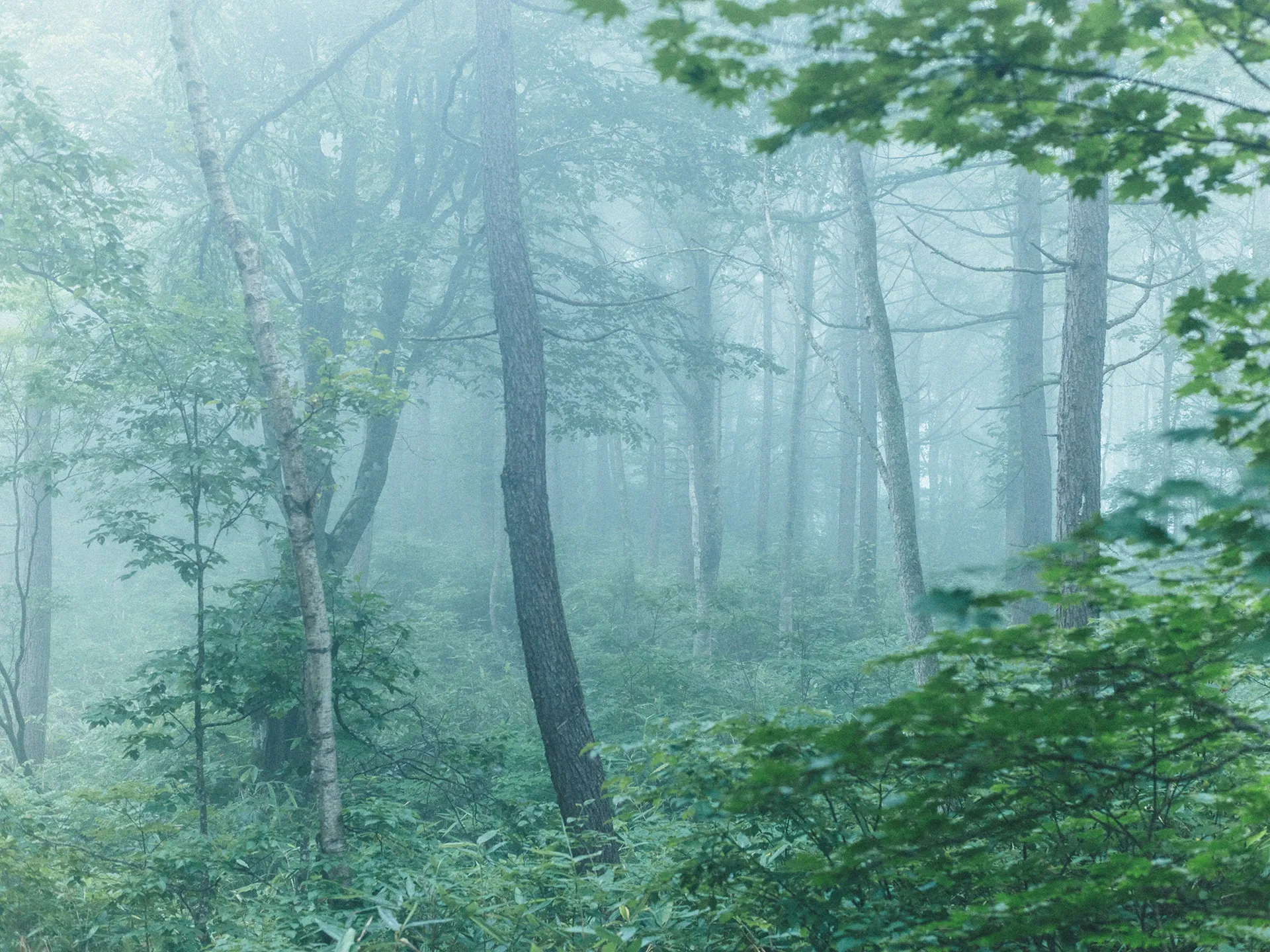 Image 13