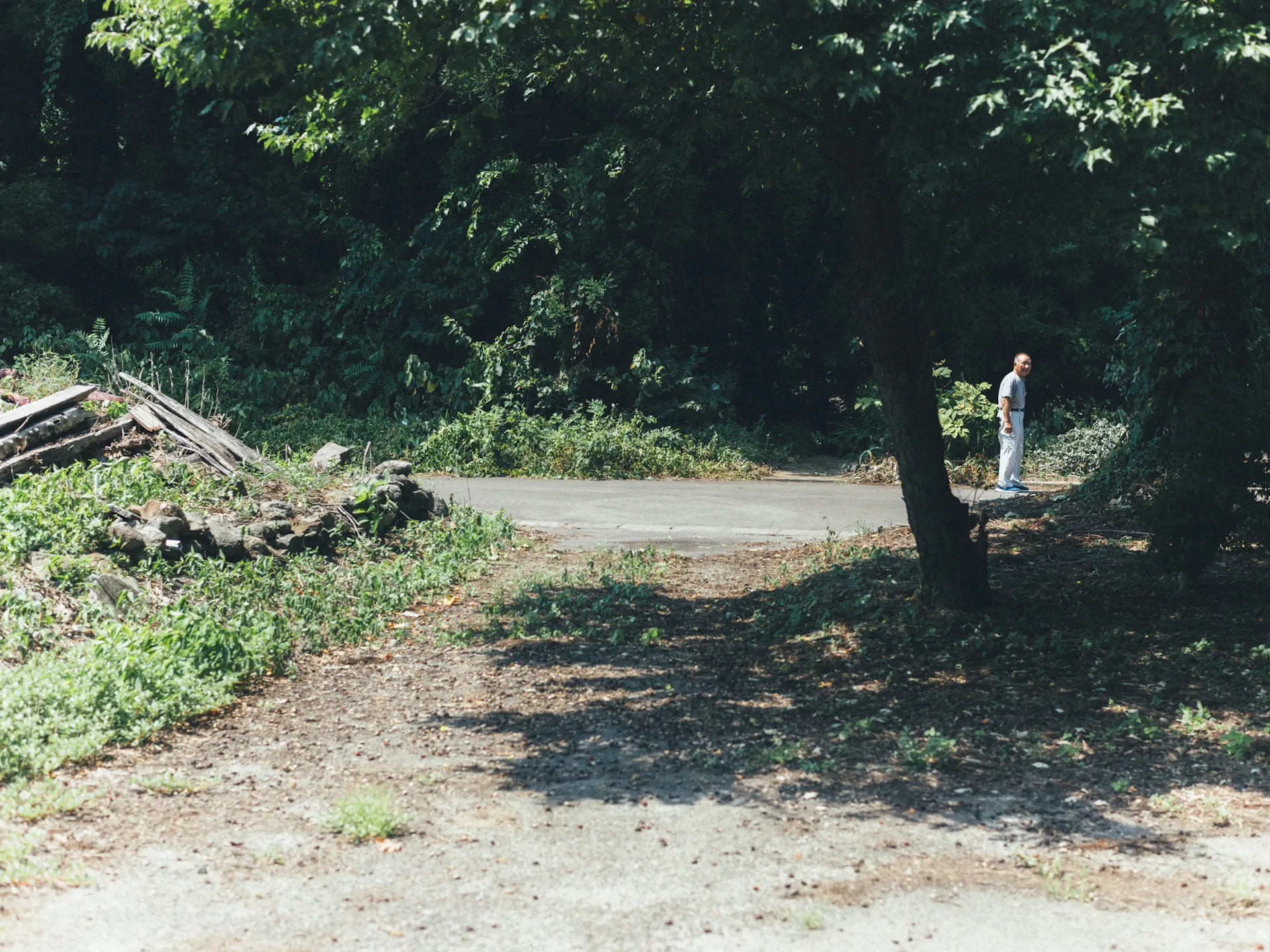 Image 6